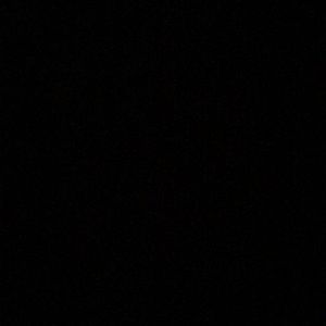 Meet your Posher, Eva